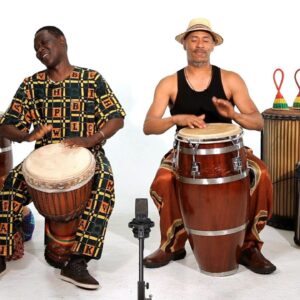 What Is The Significance Of Djembe Drums In African Culture?