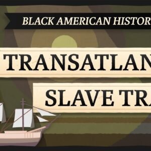 Effects of the Transatlantic Slave Trade